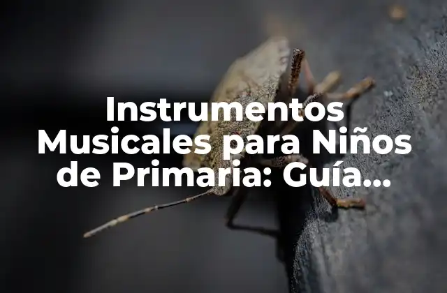Instrumentos Musicales para Niños de Primaria: Guía Completa