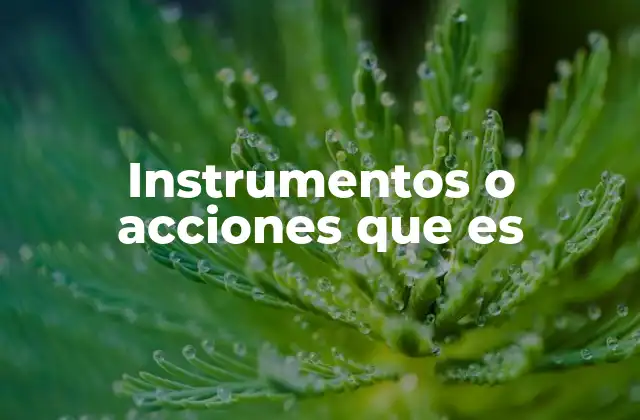 Instrumentos o Acciones que es