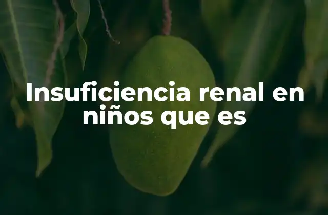 Insuficiencia Renal en Niños que es