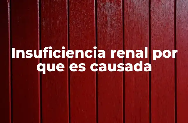 Insuficiencia Renal por que es Causada