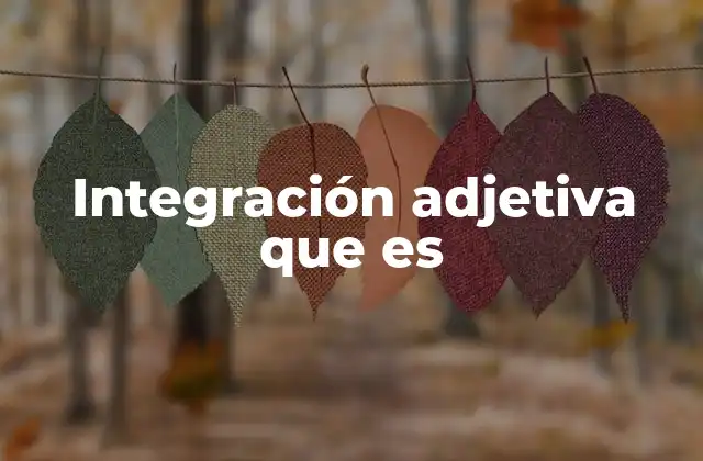 El papel de los adjetivos en la formación de nuevos términos