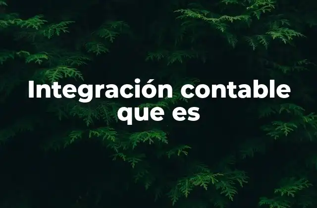 Integración Contable que es
