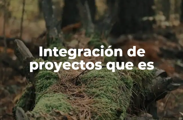Integración de Proyectos que es