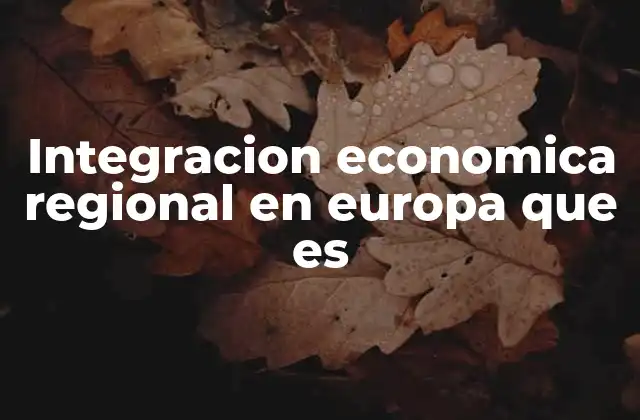 Integracion Economica Regional en Europa que es