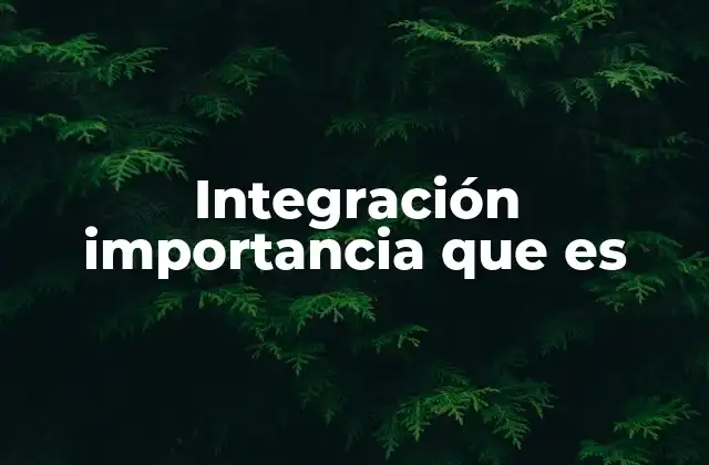 Integración Importancia que es