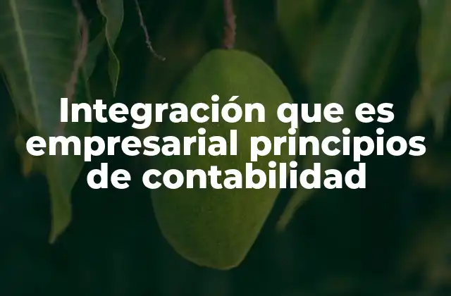 Integración que es Empresarial Principios de Contabilidad