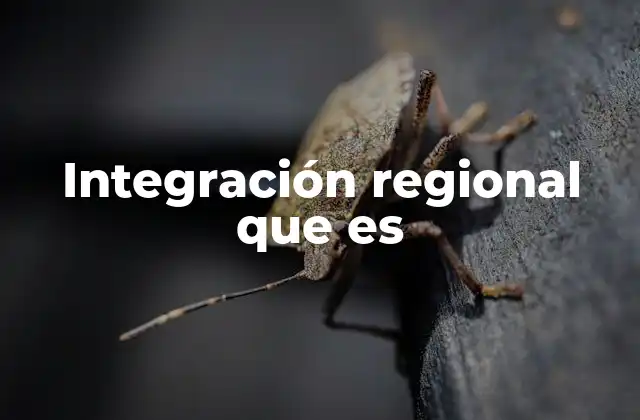 Integración Regional que es