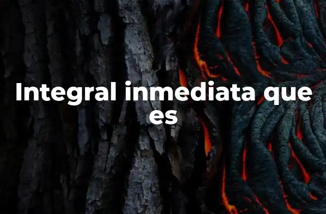 Integral Inmediata que es