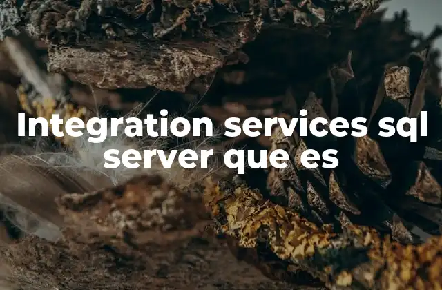 Integration Services Sql Server que es