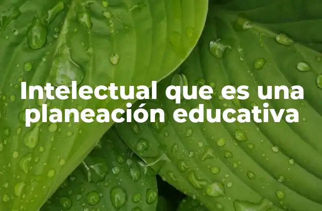 El papel del intelectual en la educación