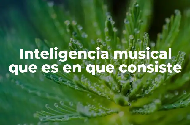 Inteligencia Musical que es en que Consiste