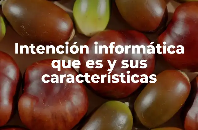Intención Informática que es y Sus Características