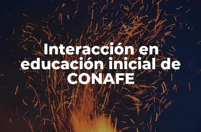 Interacción en Educación Inicial de Conafe
