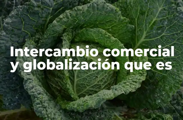 Intercambio Comercial y Globalización que es