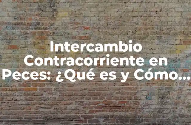 Intercambio Contracorriente en Peces: ¿qué es y Cómo Funciona?
