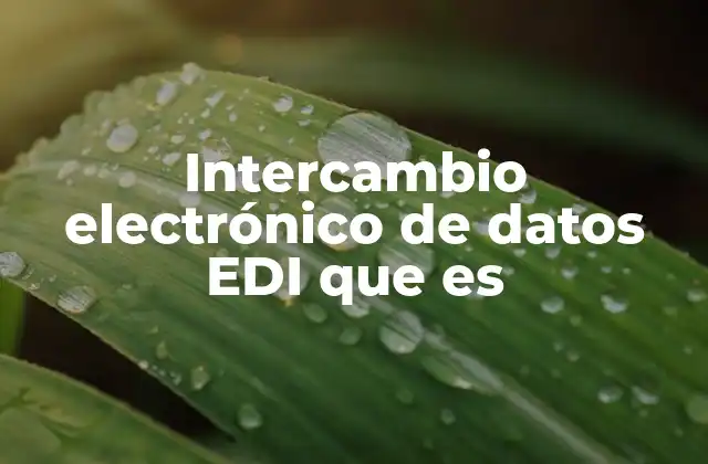 Intercambio Electrónico de Datos Edi que es