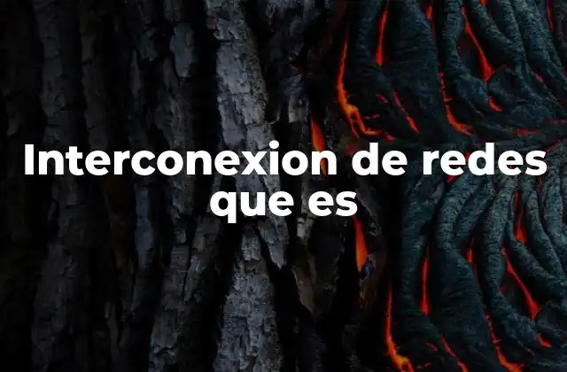 Interconexion de Redes que es