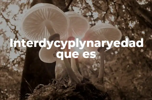 Interdycyplynaryedad que es