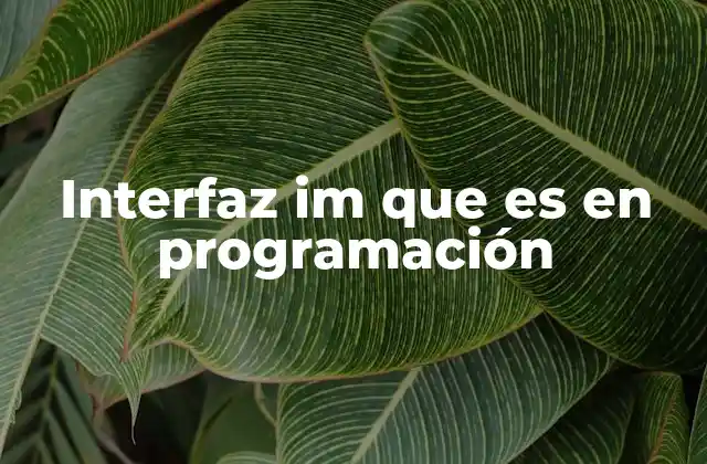 Interfaz Im que es en Programación