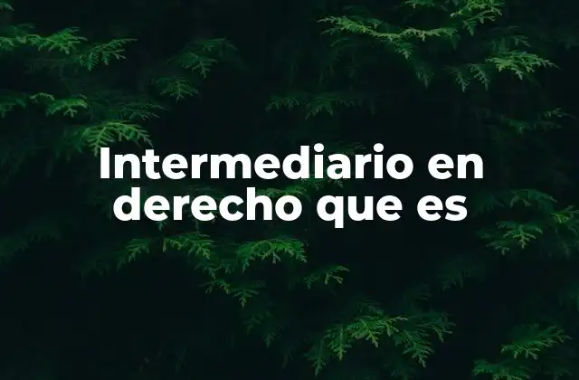 Intermediario en Derecho que es