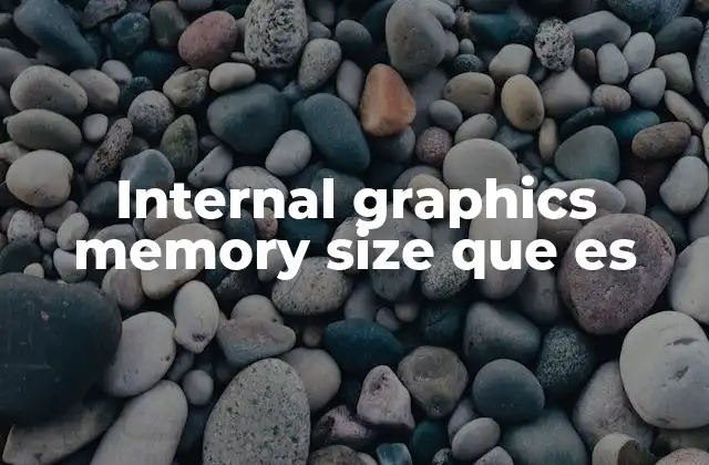 Internal Graphics Memory Size que es