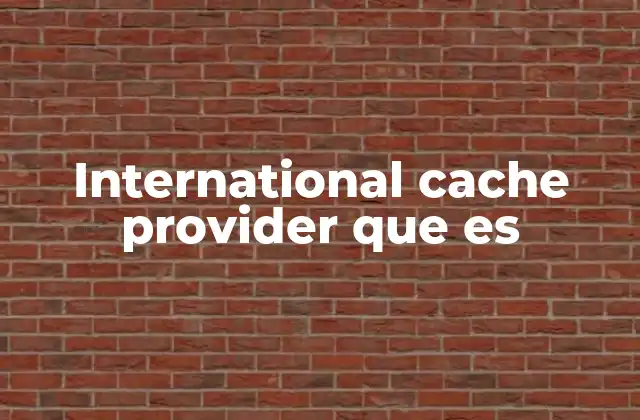 International Cache Provider que es