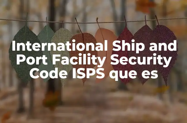 International Ship And Port Facility Security Code Isps que es 2 La importancia de los estándares de seguridad marítima