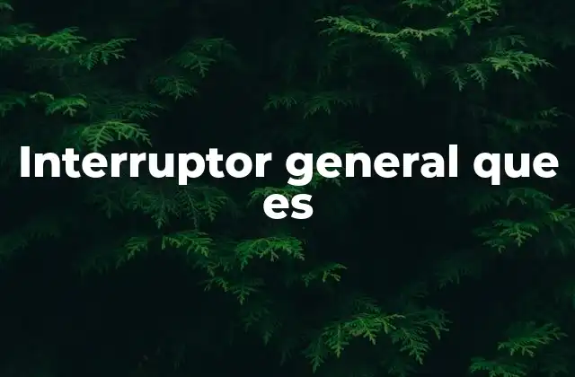 Interruptor General que es