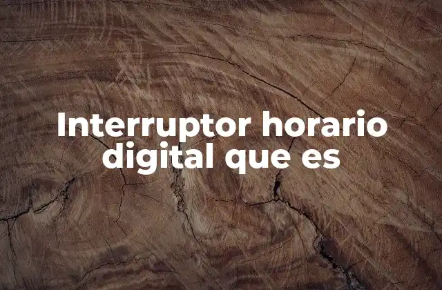 Interruptor Horario Digital que es
