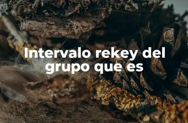 Intervalo Rekey Del Grupo que es
