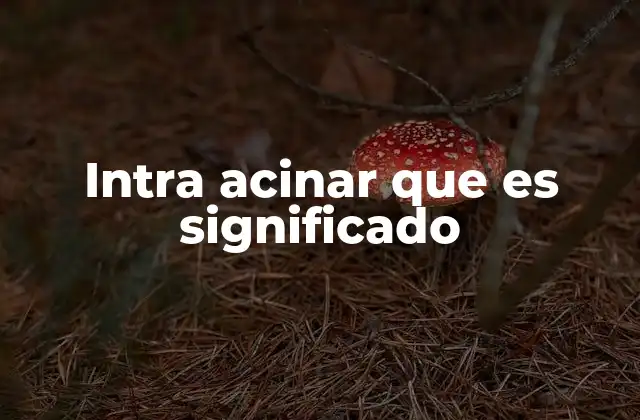 Intra Acinar que es Significado 2 El papel de los acinos en el cuerpo humano