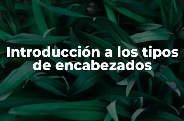 Introducción a los Tipos de Encabezados