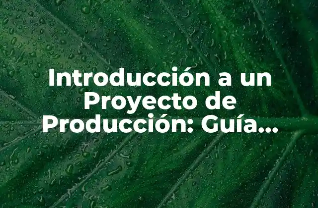Introducción a un Proyecto de Producción: Guía Completa