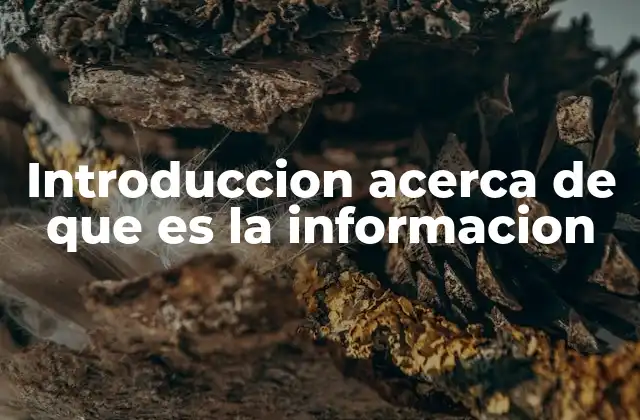 Introduccion Acerca de que es la Informacion