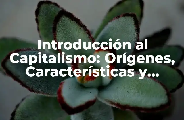 Introducción Al Capitalismo: Orígenes, Características y Evolución