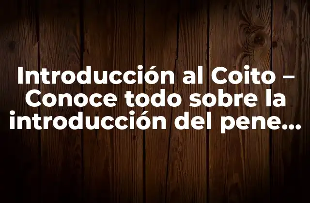 Introducción Al Coito – Conoce Todo sobre la Introducción Del Pene en la Vagina