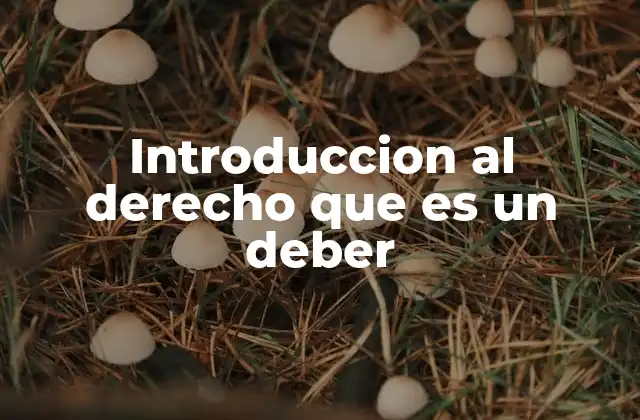 Introduccion Al Derecho que es un Deber