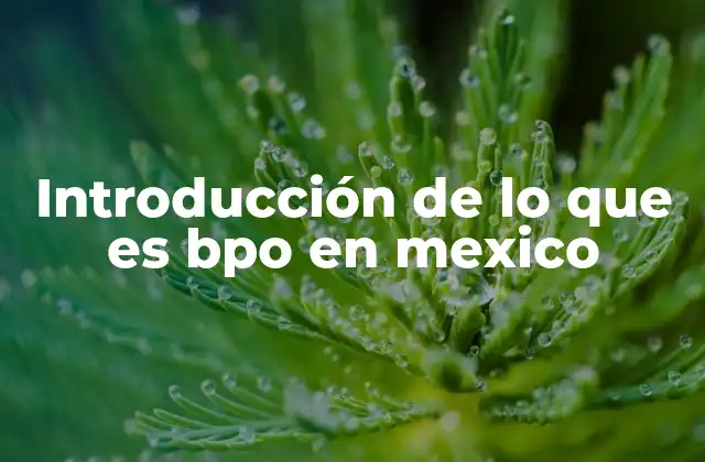 Introducción de Lo que es Bpo en Mexico 2 El auge del BPO como parte de la economía mexicana