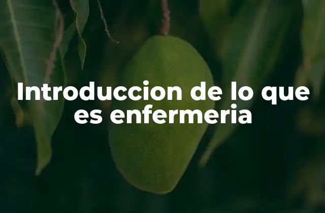 Introduccion de Lo que es Enfermeria