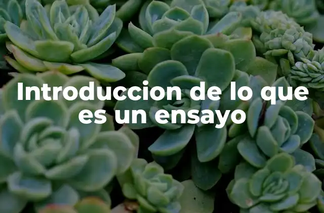 Introduccion de Lo que es un Ensayo