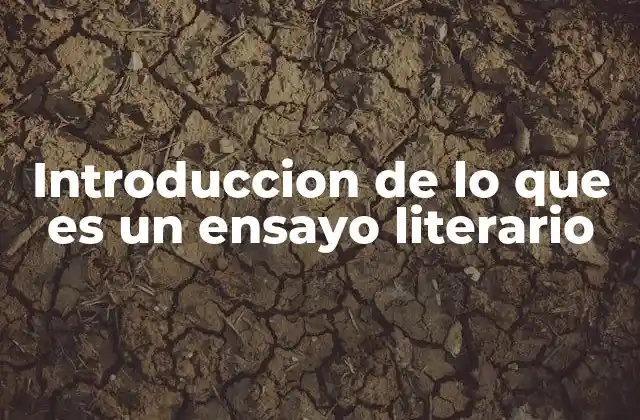Introduccion de Lo que es un Ensayo Literario