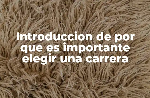 Introduccion de por que es Importante Elegir una Carrera
