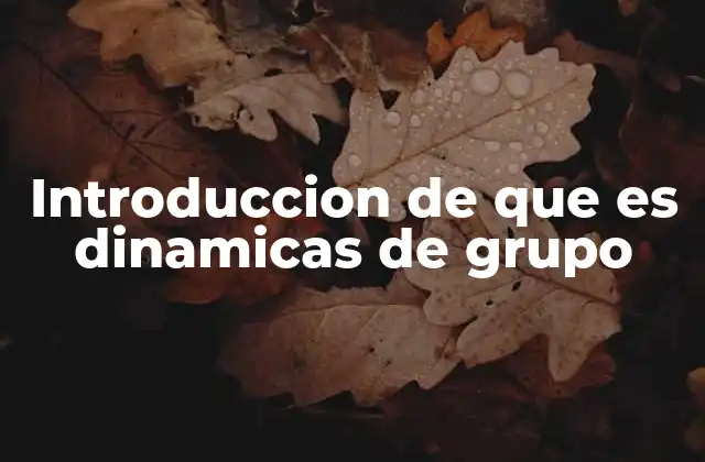Introduccion de que es Dinamicas de Grupo