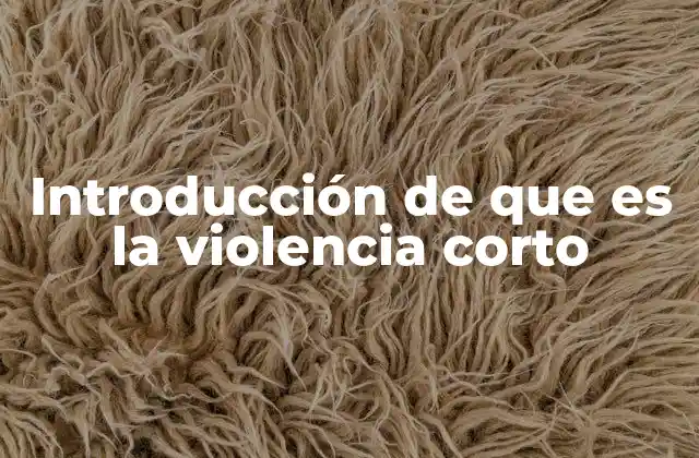 Introducción de que es la Violencia Corto