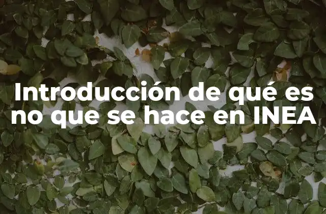 Introducción de Qué es No que Se Hace en Inea