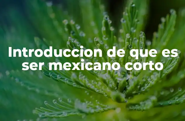 Introduccion de que es Ser Mexicano Corto