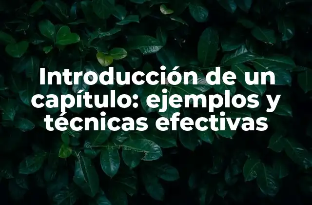 Introducción de un Capítulo: Ejemplos y Técnicas Efectivas