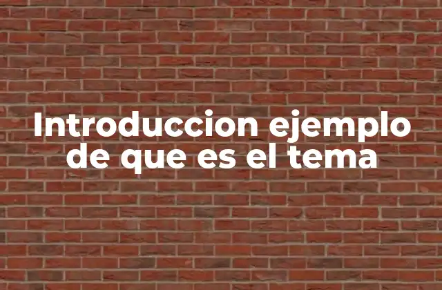 Introduccion Ejemplo de que es el Tema