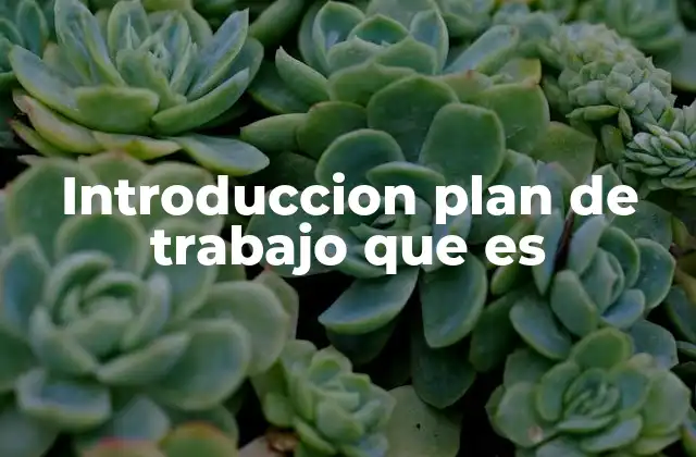 La importancia de una buena introducción en un plan de trabajo