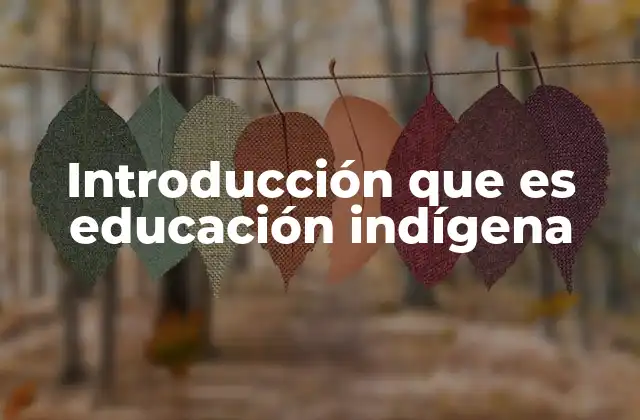 Introducción que es Educación Indígena